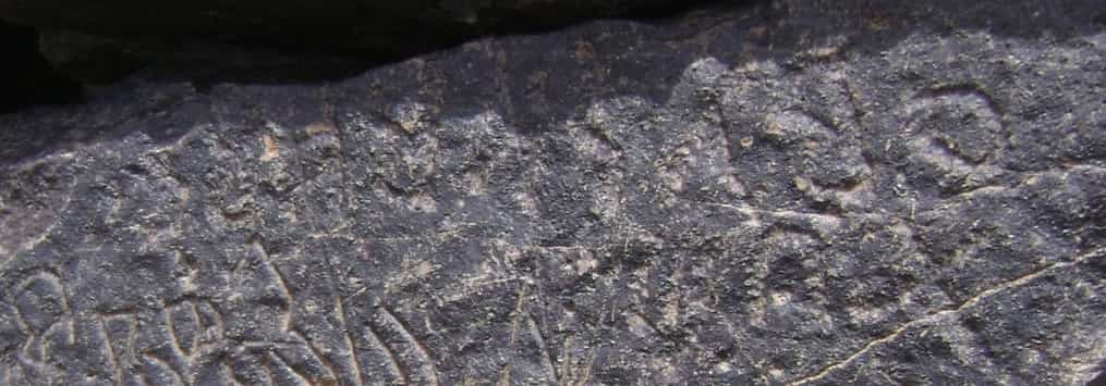 الشرعي ضركام17